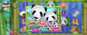 รีวิวเกมสล็อต Wild Giant Panda